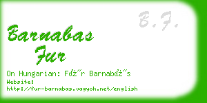 barnabas fur business card